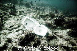 How we treat our oceans. by Chris Wildblood 